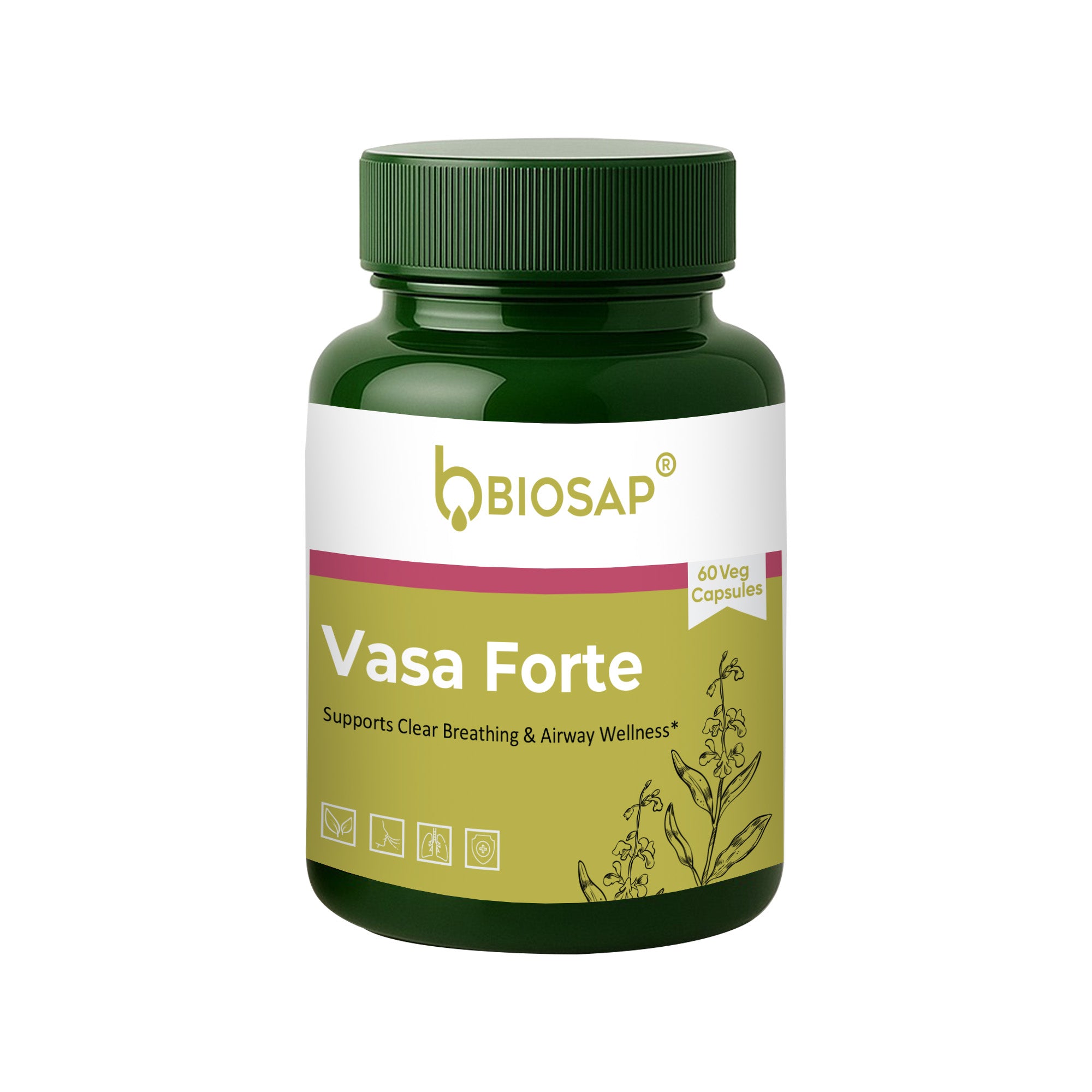 Vasa Forte