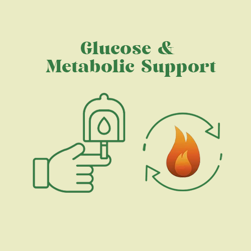 Glucose & Metabolic Support