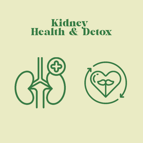 Kidney Health & Detox