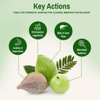 Fortified Triphala — Gut Rhythm & Gentle Detox | 60 Veg Capsules