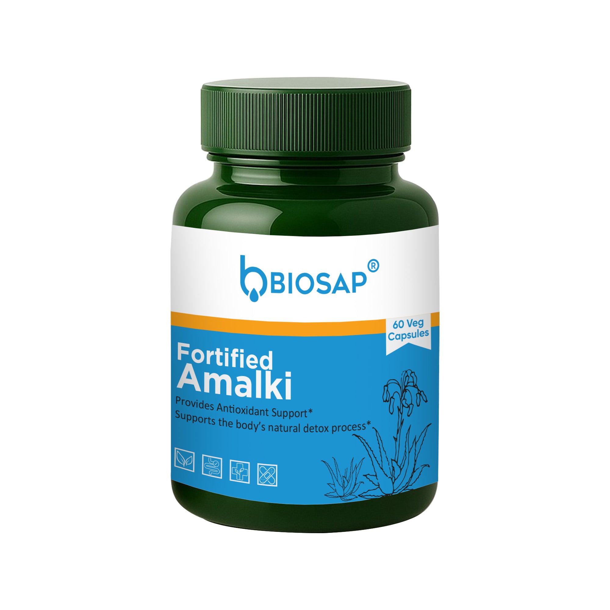 Fortified Amalki — Amla + Grape-Seed Antioxidant Support (Capsules)