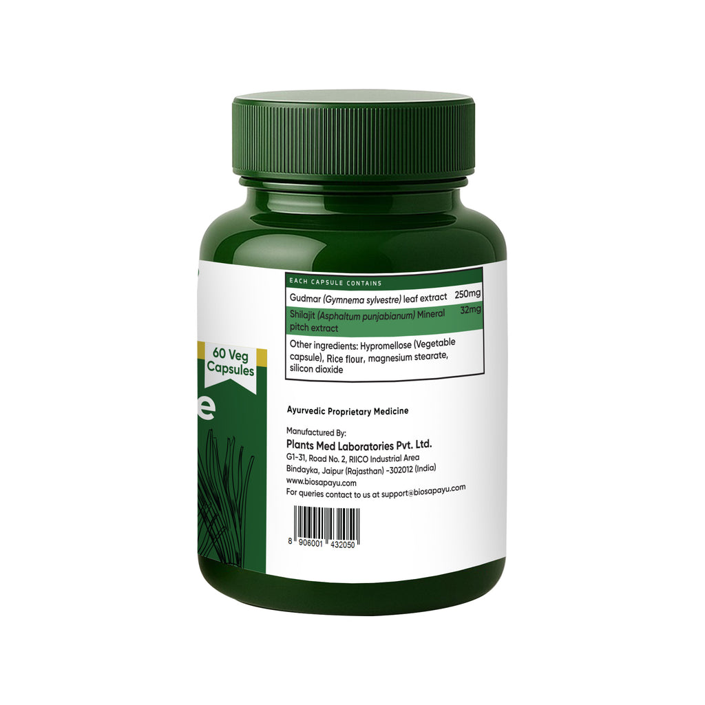 Gudmar Forte Capsules — Glucose Rhythm & Craving Control | 60 Veg Capsules