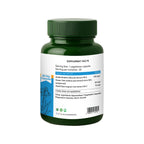 Fortified Amalki — Amla + Grape-Seed Antioxidant Support (Capsules)