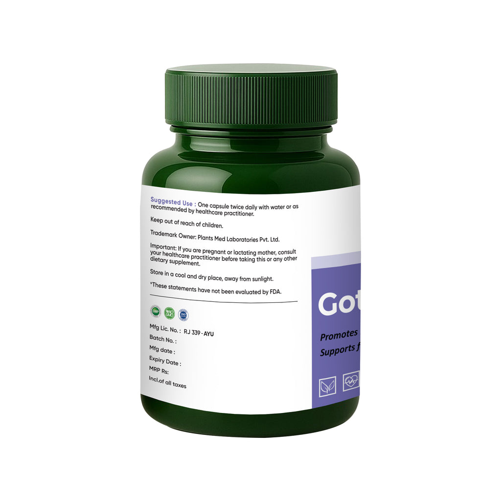 Gotu Kola Forte Capsules | Calm Focus & Elasticity Support | 60 Veg Capsules