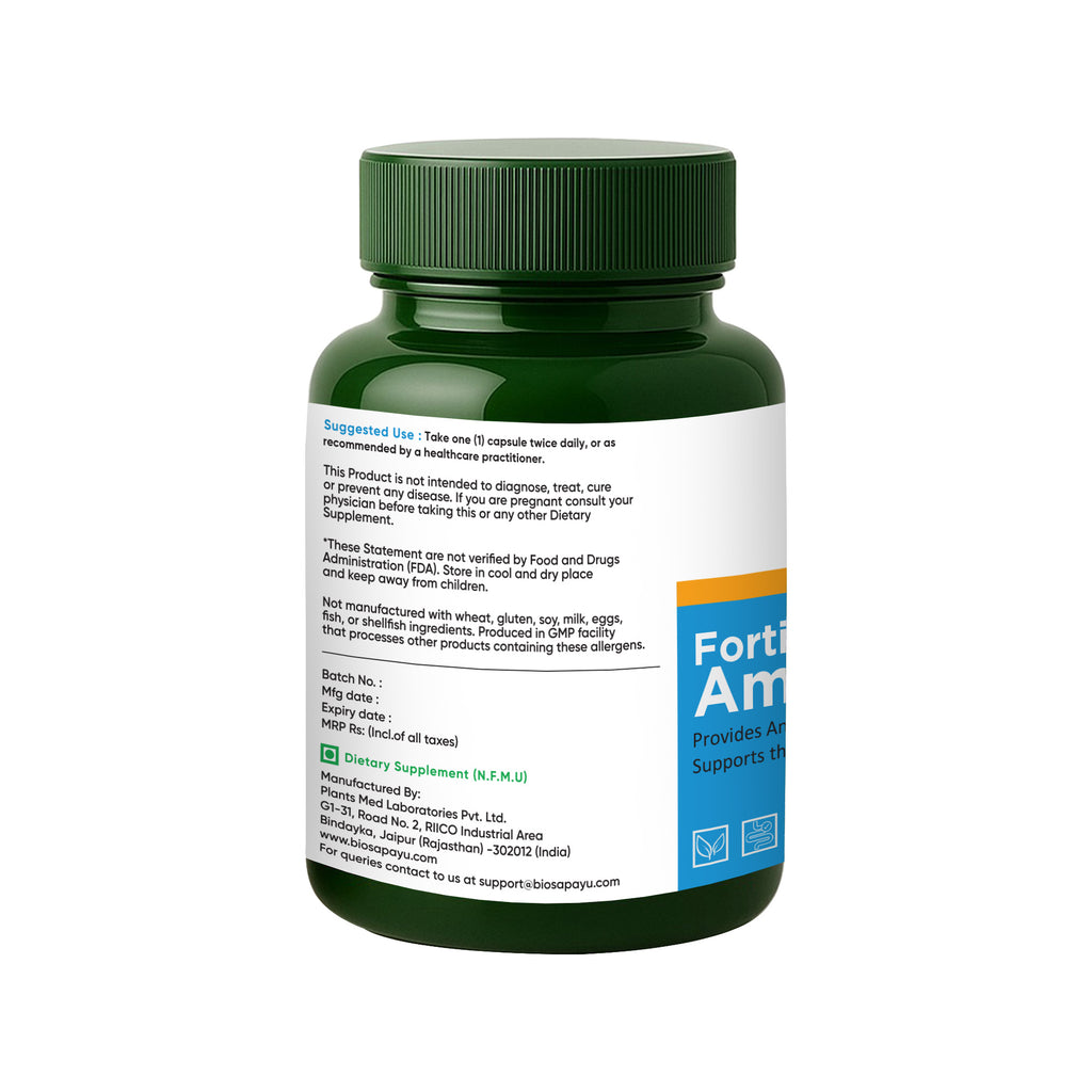 Fortified Amalki — Amla + Grape-Seed Antioxidant Support (Capsules)