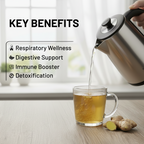 BreatheEase Herbal Infusion — Tulsi + Ginger | 25 sticks × 2 g