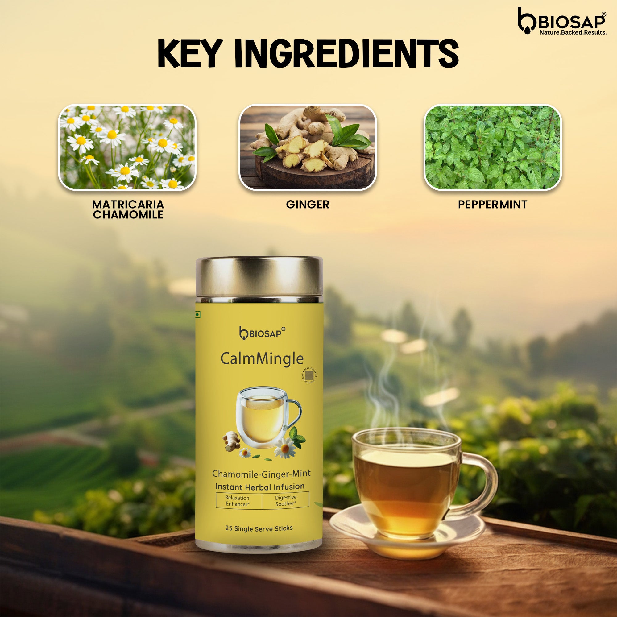 Calm Mingle - Chamomile/Ginger/Mint