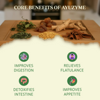 Ayuzyme — Enzyme Syrup for Smoother Digestion | 200 ml
