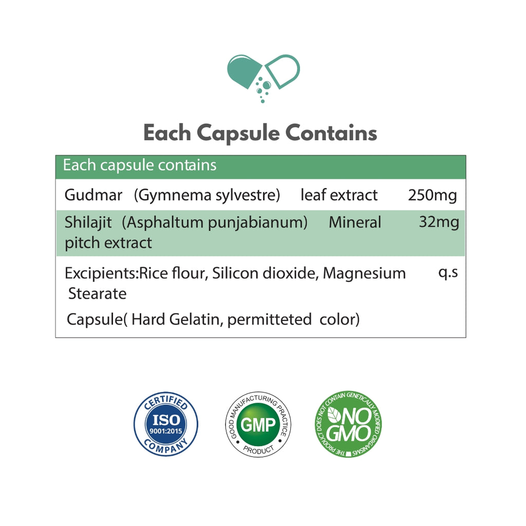 Gudmar Forte Capsules — Glucose Rhythm & Craving Control | 60 Veg Capsules
