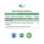 Gudmar Forte Capsules — Glucose Rhythm & Craving Control | 60 Veg Capsules