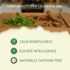 Memory Enhancer Bru - Brahmi