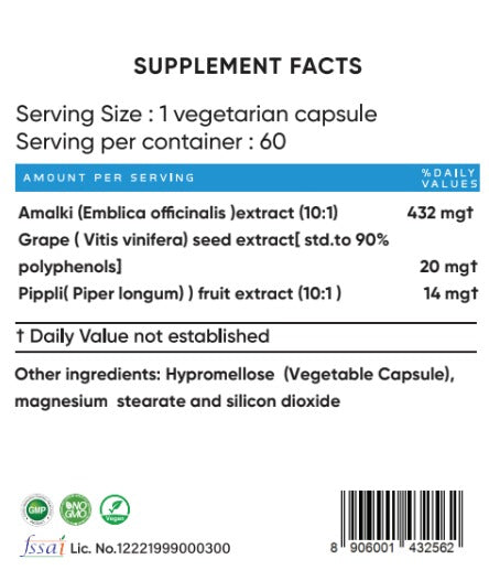 Fortified Amalki — Amla + Grape-Seed Antioxidant Support (Capsules)