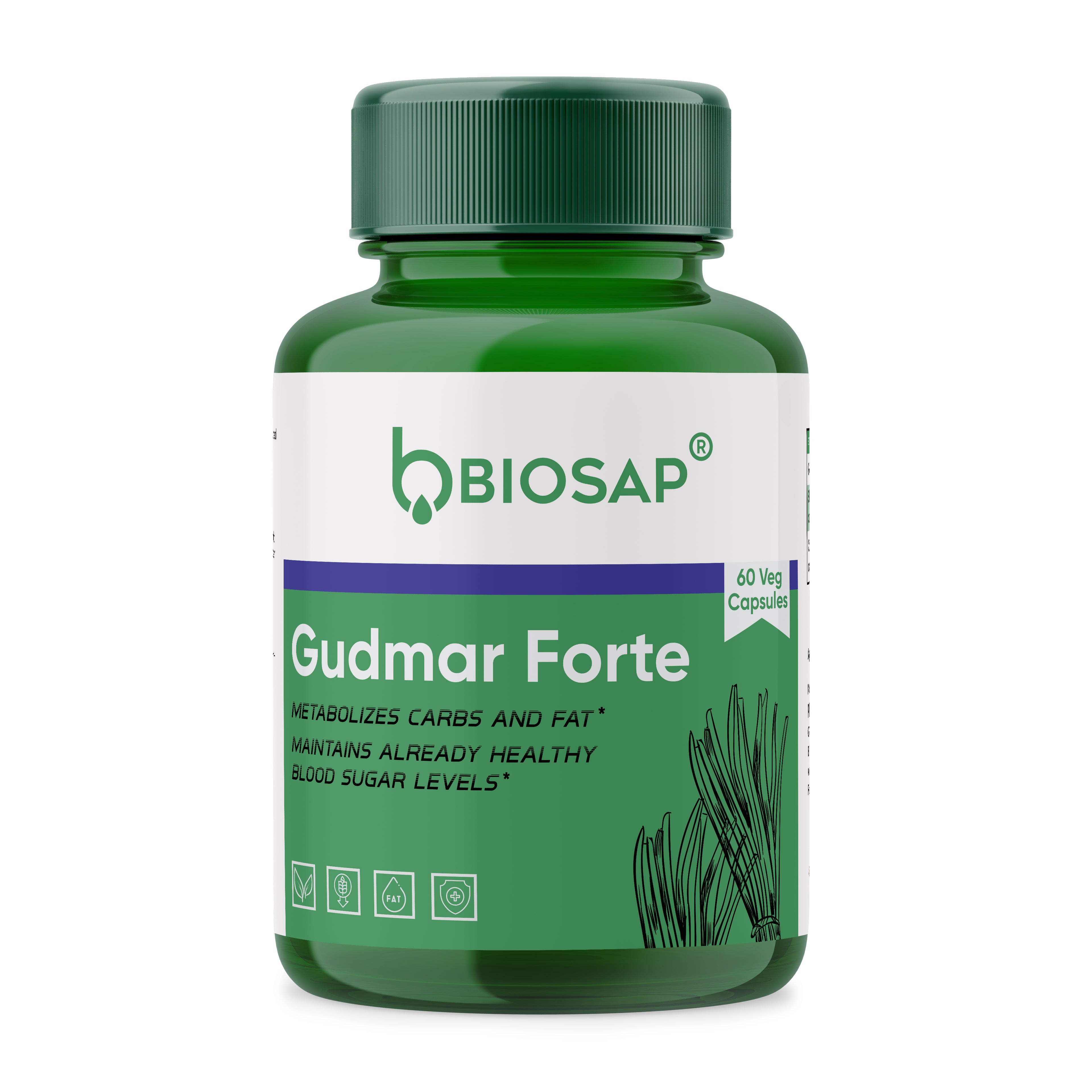 Gudmar Forte Capsules — Glucose Rhythm & Craving Control | 60 Veg Capsules